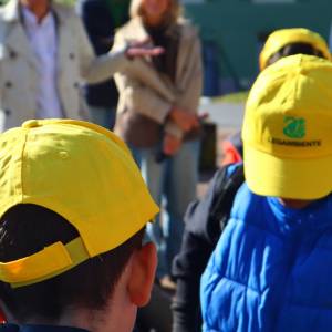 Lucca (16)